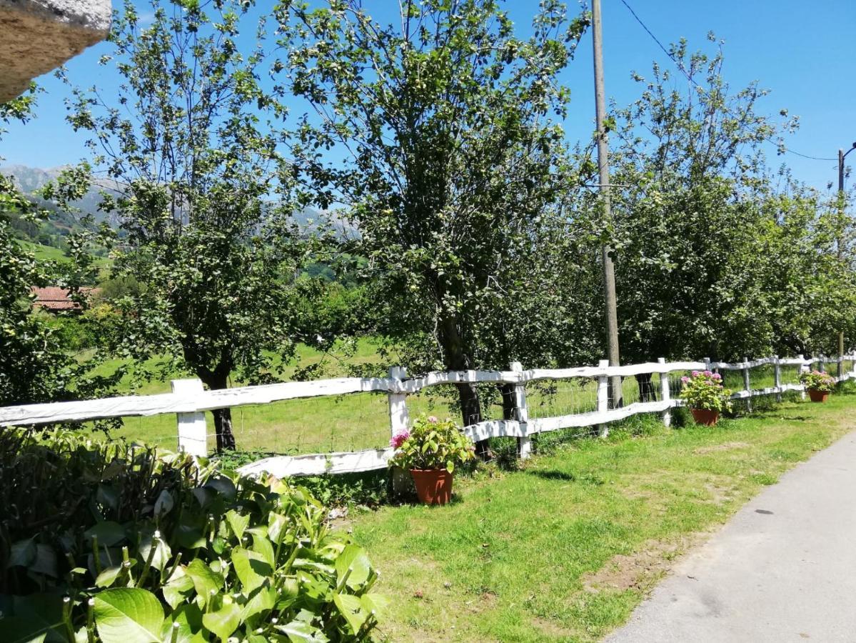 La Casa Nueva Alojamiento Rural Cereceda  Exteriér fotografie