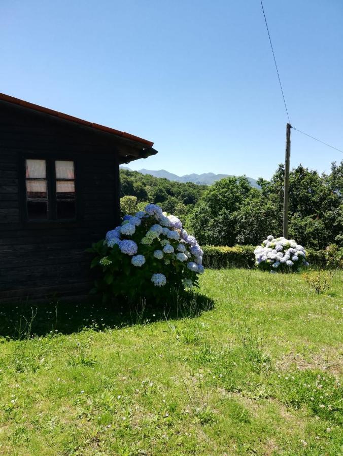 La Casa Nueva Alojamiento Rural Cereceda  Exteriér fotografie