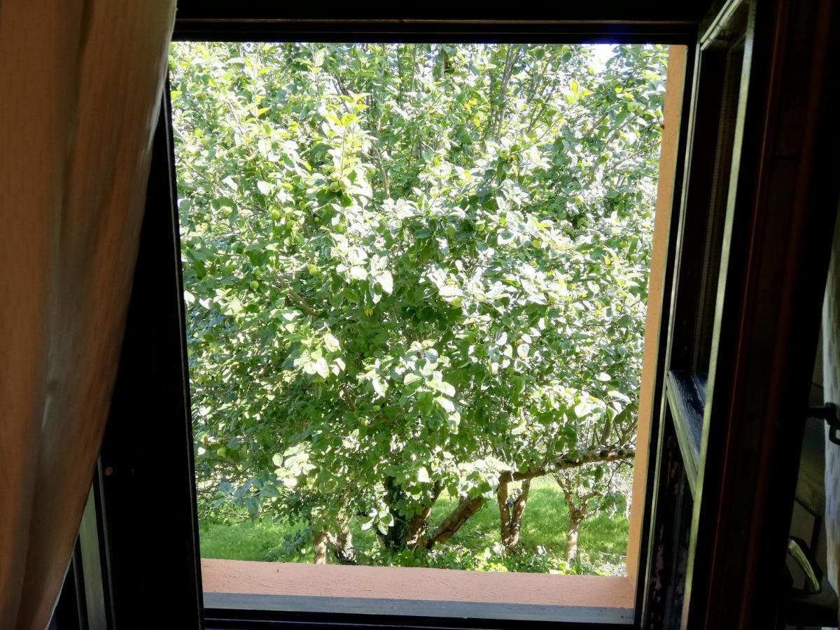 La Casa Nueva Alojamiento Rural Cereceda  Exteriér fotografie