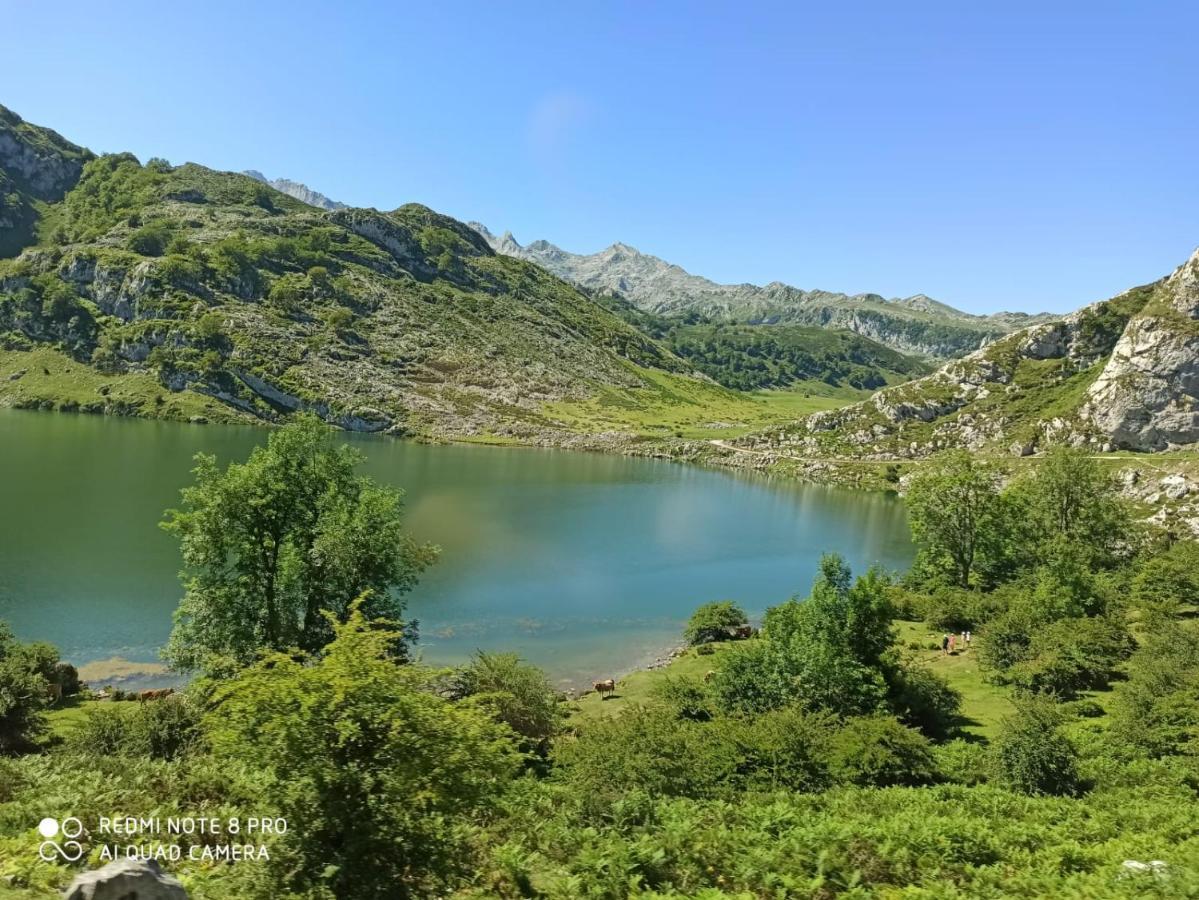 La Casa Nueva Alojamiento Rural Cereceda  Exteriér fotografie