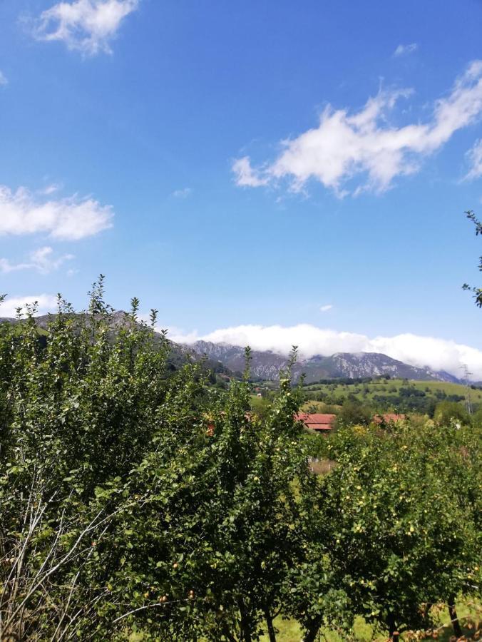La Casa Nueva Alojamiento Rural Cereceda  Exteriér fotografie
